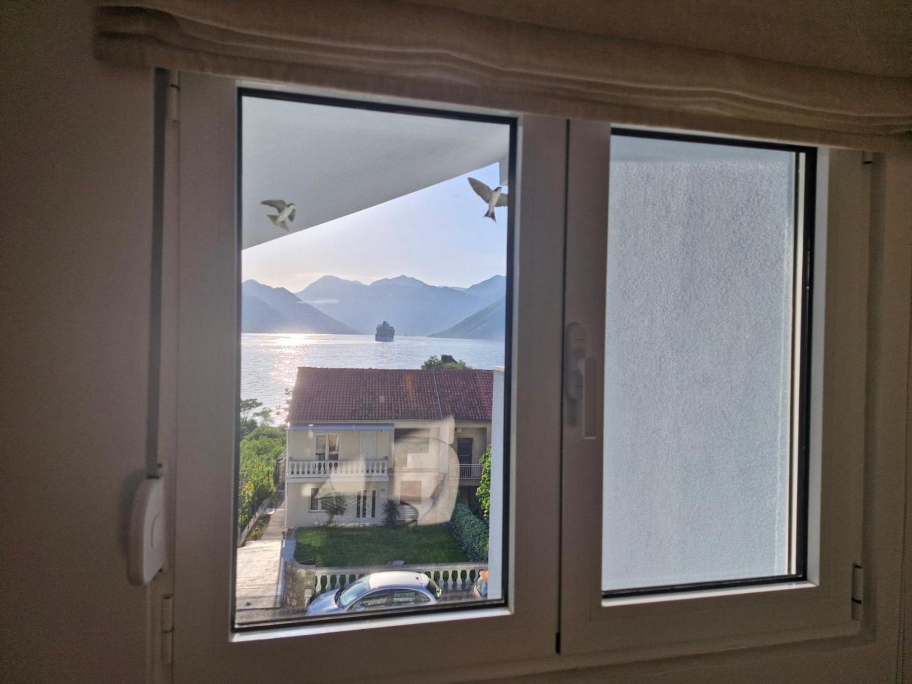 Luxury Apartment Vasilisa Kotor Exterior photo